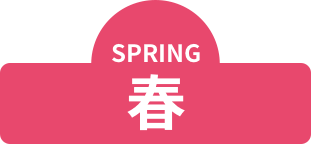 Spring 春