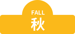 FALL 秋